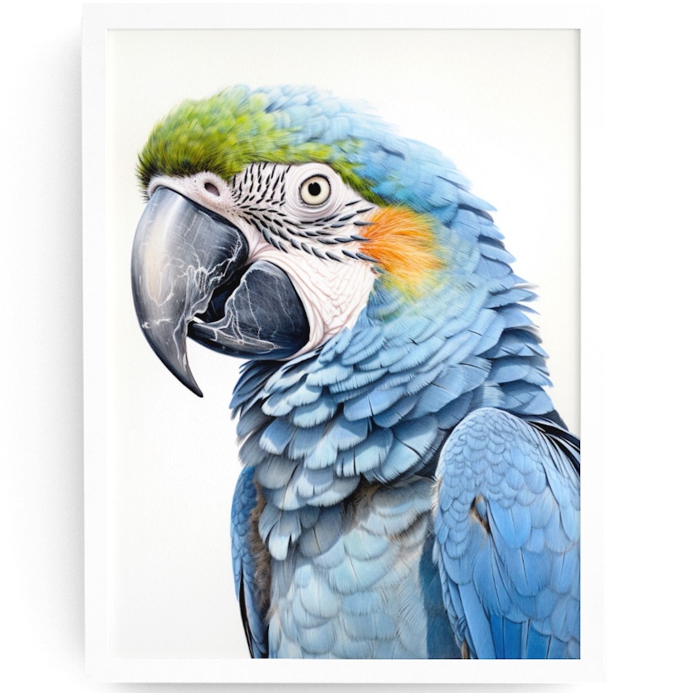 Blue Macaw Parrot Bird Watercolor Wall Art Print Poster Unframed
